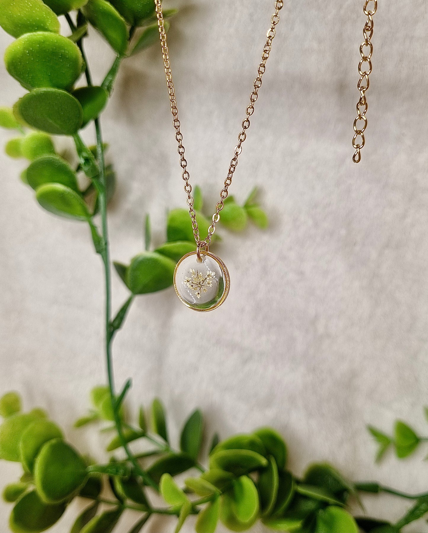 Collier mini fleur de carotte sauvage