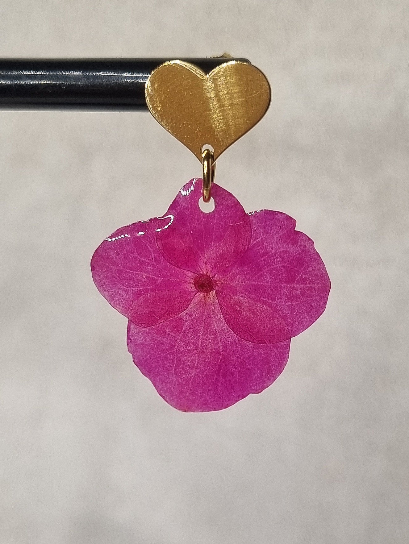 BO Hortensia